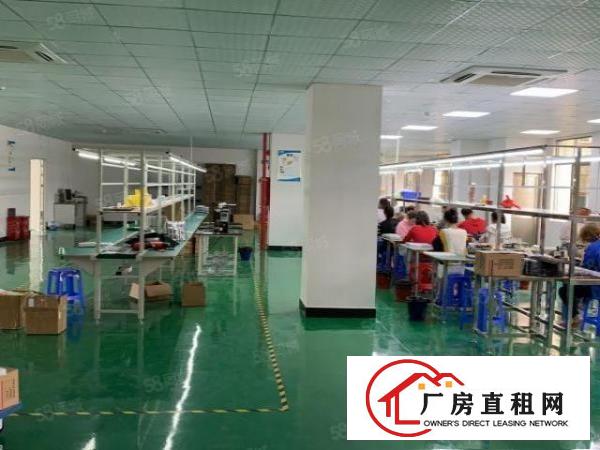  凤岗金凤凰工业区新出1000平方楼上带地坪漆办公室可办环评