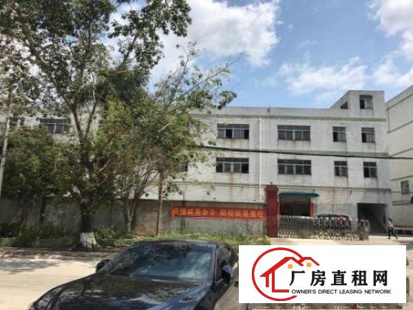  凤岗镇原房东经典小独院厂房2200平方米业主直租形象好