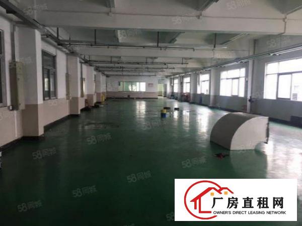  凤岗镇原房东经典小独院厂房2200平方米业主直租形象好