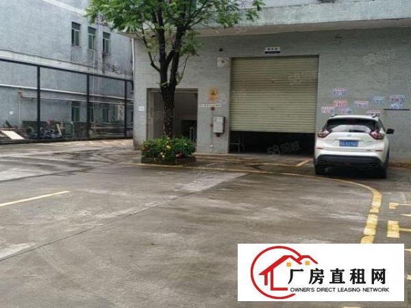  （出租）凤岗1楼620平方高度6米大型工业园！
