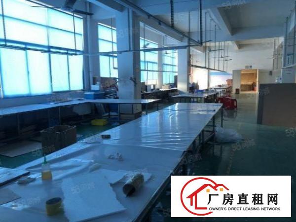  凤岗金凤凰工业区二楼1100平方可分小面积厂房出租带装修水电