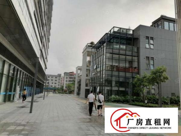  东莞凤岗雁田超长免租期厂房出租2000平，200平起可分租