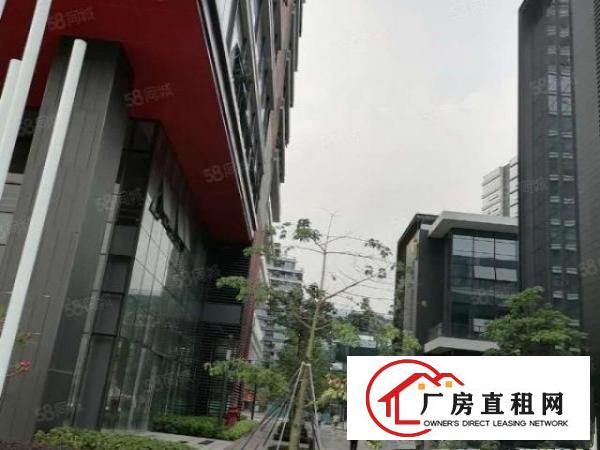  东莞凤岗雁田超长免租期厂房出租2000平，200平起可分租