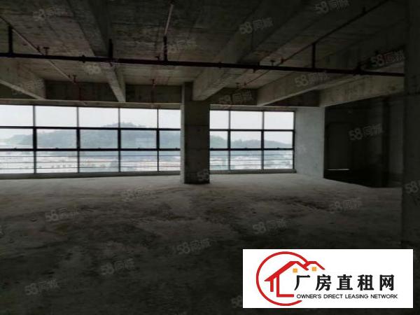  东莞凤岗雁田超长免租期厂房出租2000平，200平起可分租