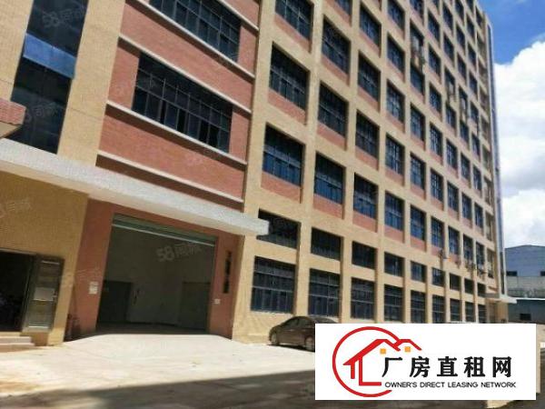  凤岗官井头各3000平多层全新标准厂房出租红本全新厂房