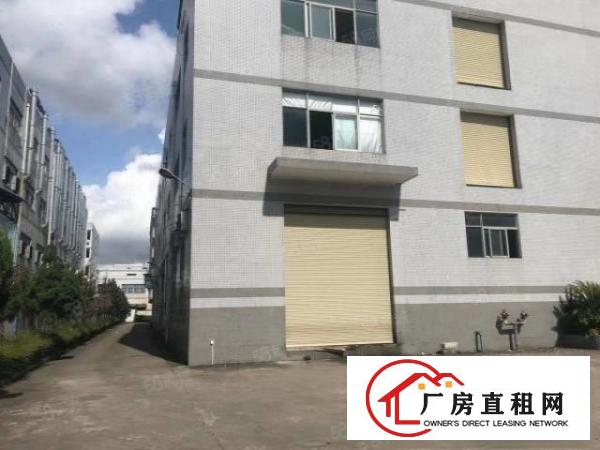  凤岗雁田新出独门独院带宿舍厂房出租，原房东，零公摊