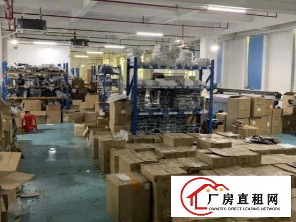  凤岗新出楼上整层1300平，豪华办公室装修，水电齐全，好招工