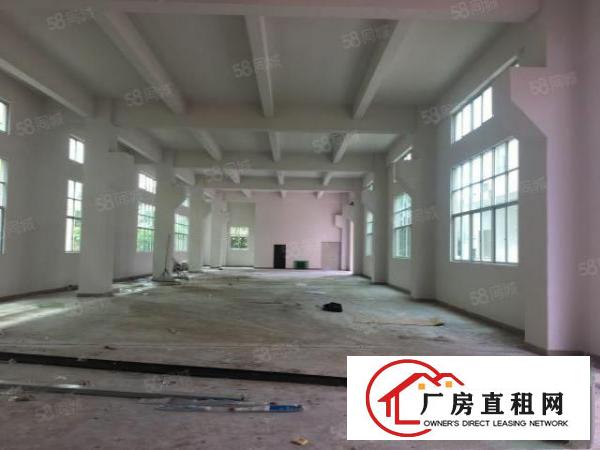  凤岗原房东独栋厂房2000平无公摊6米高带牛角无行业限制