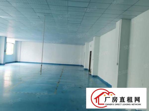  风岗新出标准厂房楼上1200平，形象好，好招工，精装修