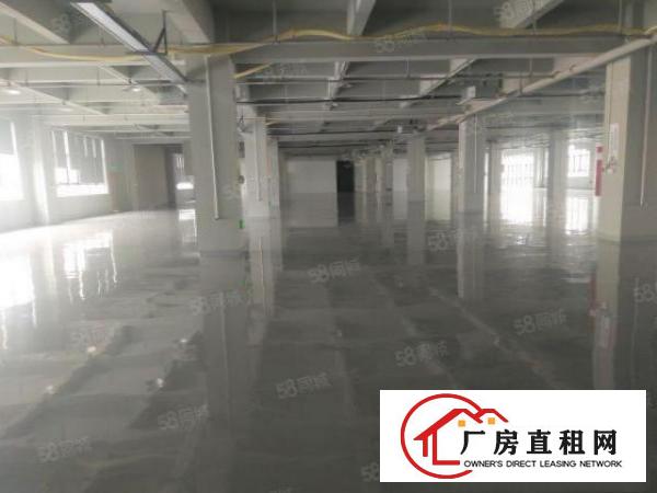  风岗原房东实际面积2700平方出租，无尘车间，现成办公室水电