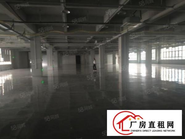  风岗原房东实际面积2700平方出租，无尘车间，现成办公室水电