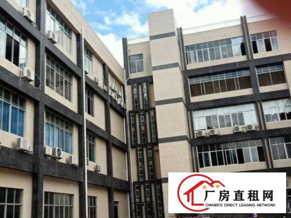  凤岗五联碧湖大道楼上带现成装修水电厂房出租超大空地好招工
