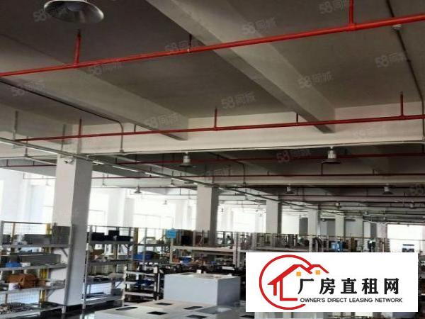  凤岗五联碧湖大道楼上带现成装修水电厂房出租超大空地好招工