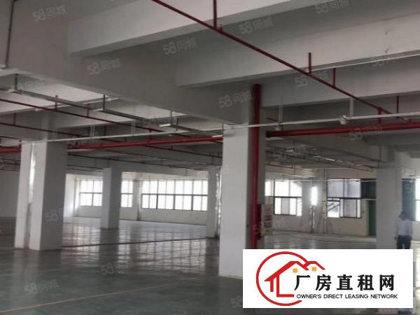  凤岗五联碧湖大道楼上带现成装修水电厂房出租超大空地好招工