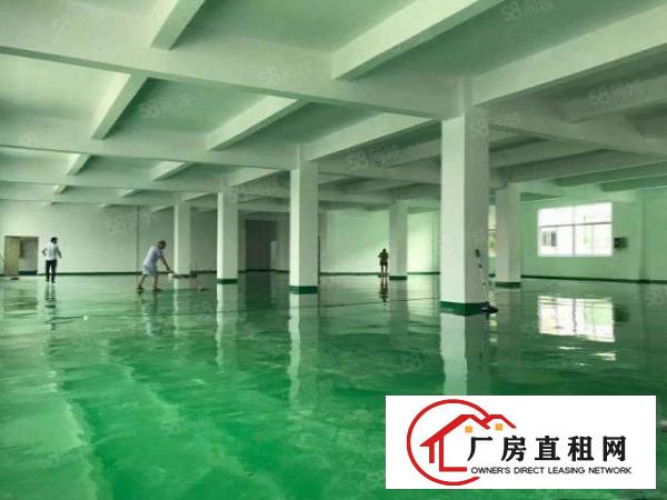  凤岗金凤凰工业区空出二楼2000平方全新地坪漆厂房水电齐全