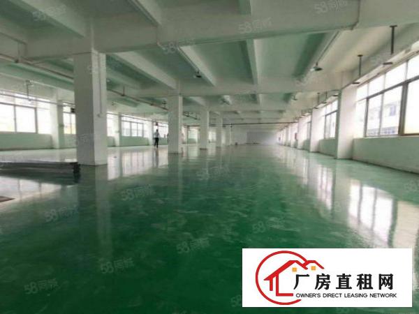  凤岗金凤凰工业区空出二楼2000平方全新地坪漆厂房水电齐全