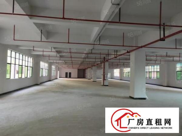  凤岗新出独院12000平方厂房招租（可以分租）