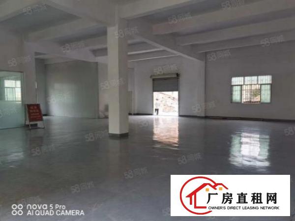  凤岗原房东全新独院厂房，做电池珍珠棉仓库，大小分租，周边配套