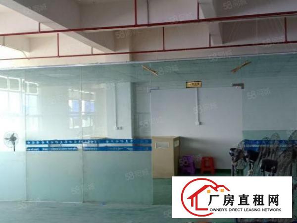  金凤凰工业区新出电梯标准厂房660平米现成水电办公室装修出租
