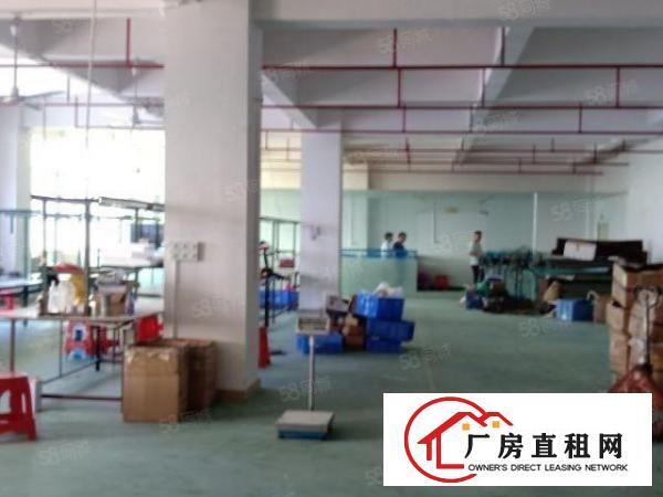  金凤凰工业区新出电梯标准厂房660平米现成水电办公室装修出租