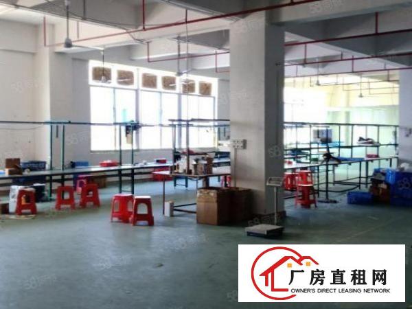  金凤凰工业区新出电梯标准厂房660平米现成水电办公室装修出租