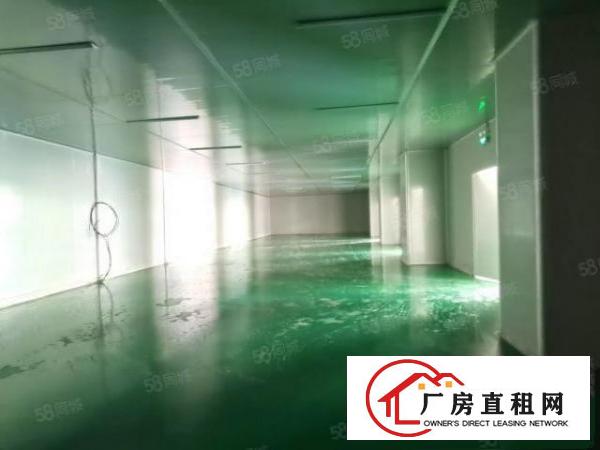  凤岗雁田一楼二楼厂房出租2300平带牛角位现成办公室