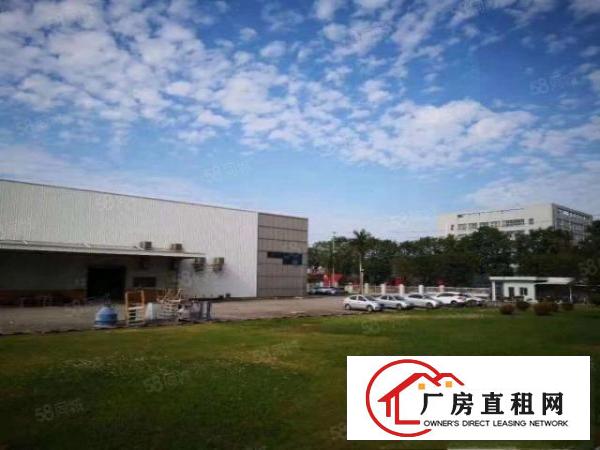  凤岗临深大型物流园一楼200平起租总面积5万平