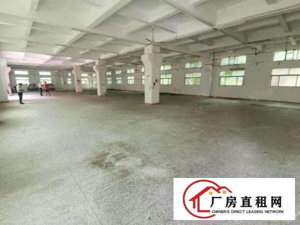  凤岗金凤凰工业区5900平方超大空地500平起分厂房出租