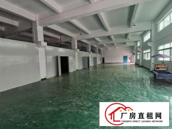  凤岗金凤凰工业区5900平方超大空地500平起分厂房出租