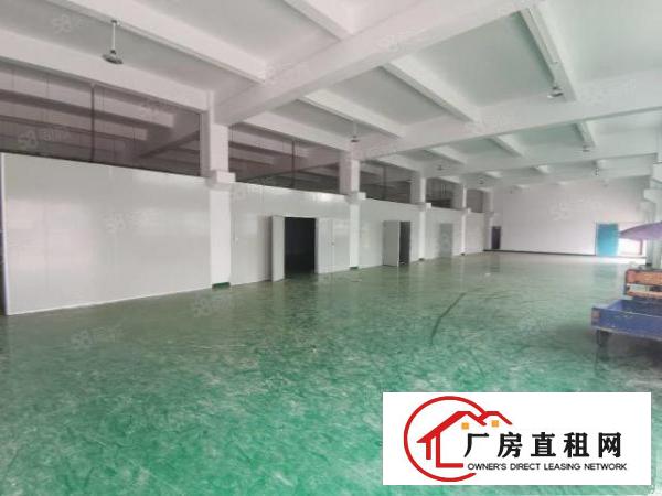  凤岗金凤凰工业区5900平方超大空地500平起分厂房出租