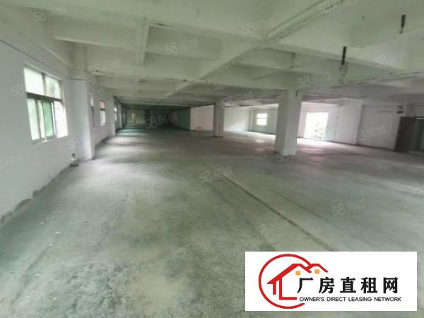  凤岗金凤凰工业区5900平方超大空地500平起分厂房出租
