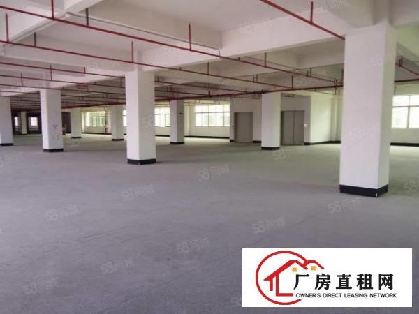  凤岗雁田第三工业区2000平方独院整栋花园式厂房出租空地超大