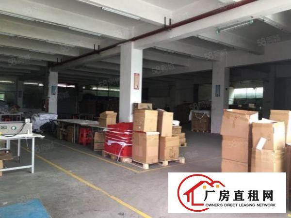 凤岗雁田工业区附近新出6500平独院超大空地可整租可分租