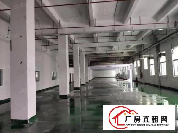  凤岗金凤凰工业区一楼1800平滴水6米厂房出租