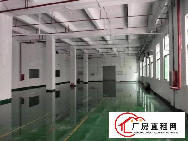  凤岗金凤凰工业区一楼1800平滴水6米厂房出租