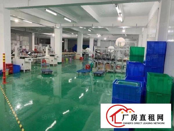  凤岗金凤凰工业区1200平方原房东出租带精装修可分租