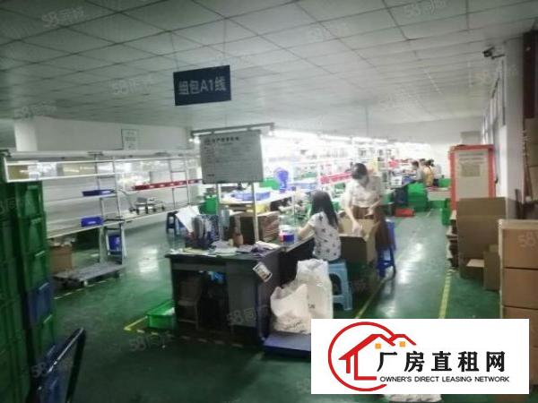  凤岗金凤凰工业区1200平方原房东出租带精装修可分租