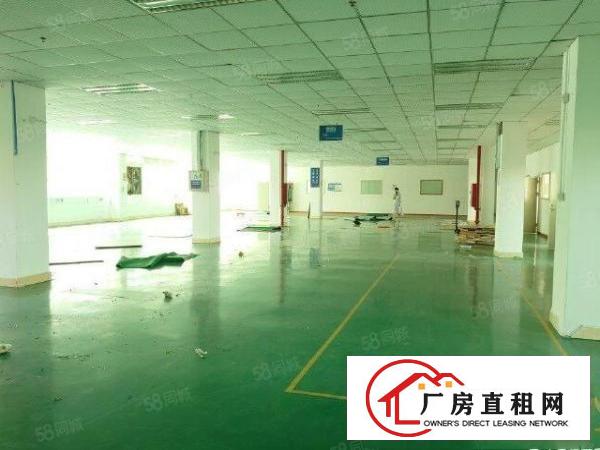  凤岗金凤凰工业区1200平方原房东出租带精装修可分租