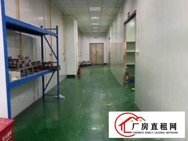  凤岗金凤凰工业区1200平方原房东出租带精装修可分租