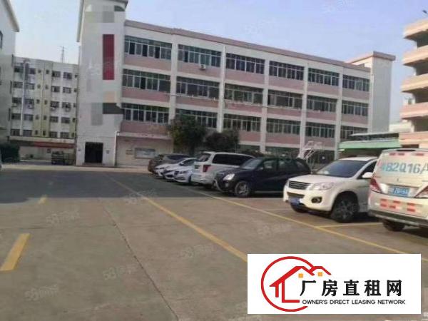  凤岗金凤凰工业区1200平方原房东出租带精装修可分租