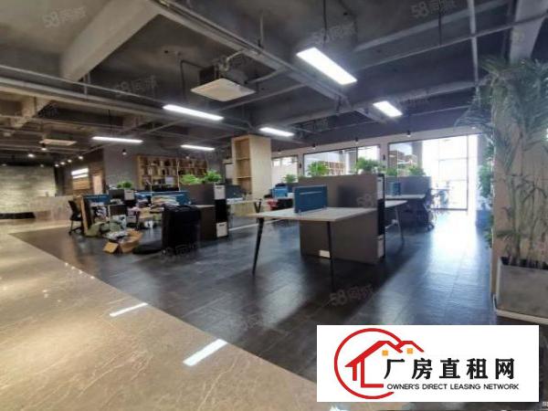  凤岗金凤凰工业区1200平方原房东出租带精装修可分租