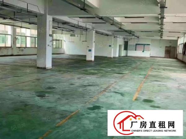  凤岗原房东小独院厂房5000平招租，现成装修，水电齐全