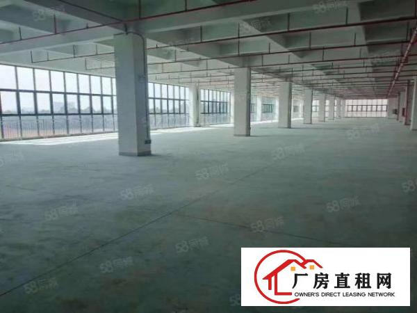  凤岗，塘厦，清溪交界处全新工业园厂房12万平方按需分租。好谈