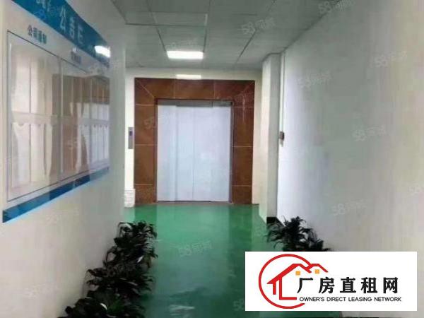  凤岗镇五联新出三楼1200平豪华装修厂房出租可以分租工业用地