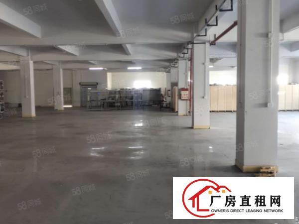  凤岗浸校塘一手房东楼上整层1300平，办公室装修电梯（可分）