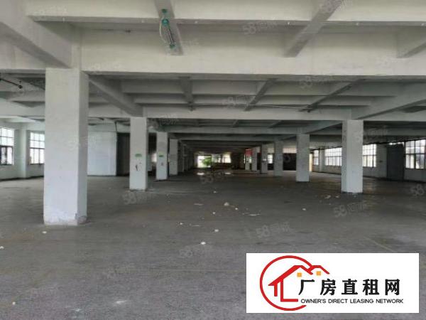  凤岗超大空地货柜可掉头U字型厂房出租可做电商物流仓库