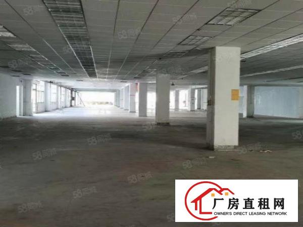  凤岗超大空地货柜可掉头U字型厂房出租可做电商物流仓库