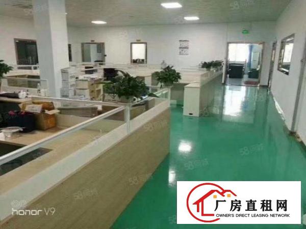  凤岗镇金凤凰工业区独门独院原房东9000平标准厂房出租