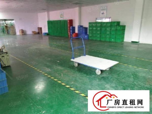  凤岗镇金凤凰工业区独门独院原房东9000平标准厂房出租