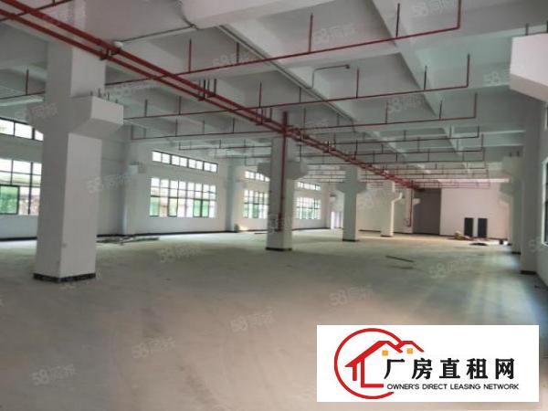  凤岗独门独院厂房一万平方火爆出租